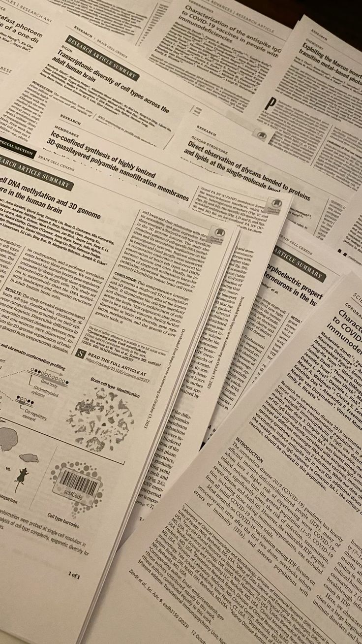Research Paper Help